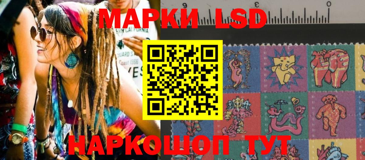 Губкин  Марки 25I-NBOMe  Вход с VPN  Марки N-bome 1,8мг 