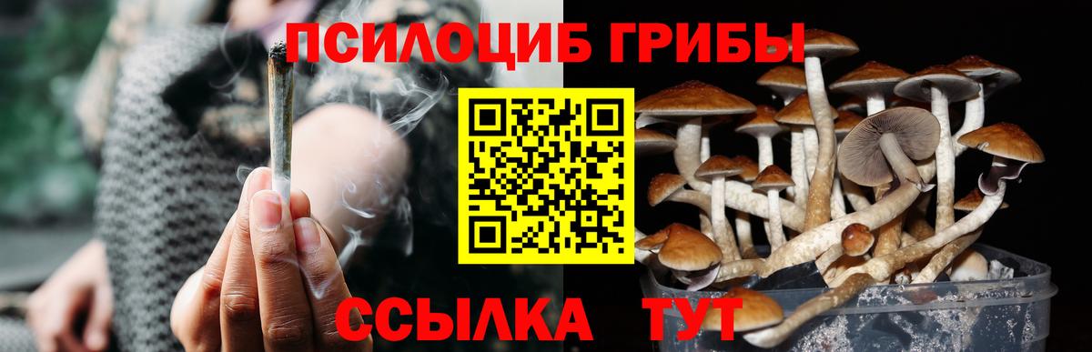 Галлюциногенные грибы Cubensis Губкин