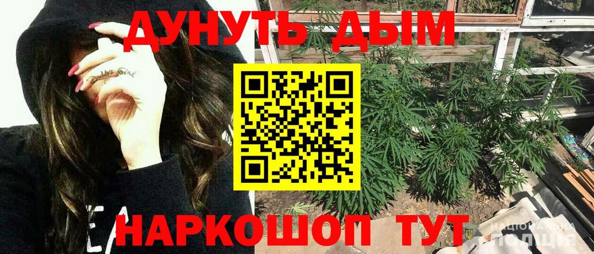 Губкин  Бошки Шишки SATIVA & INDICA  Вход с VPN  Конопля Amnesia  Канабис планчик 